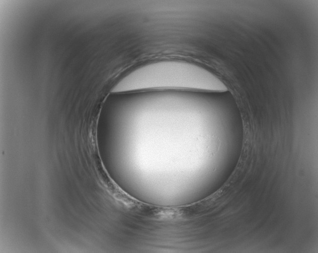 X0000080790415200612151103