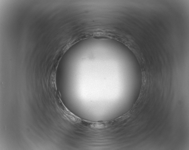 X0000080790419200612151103