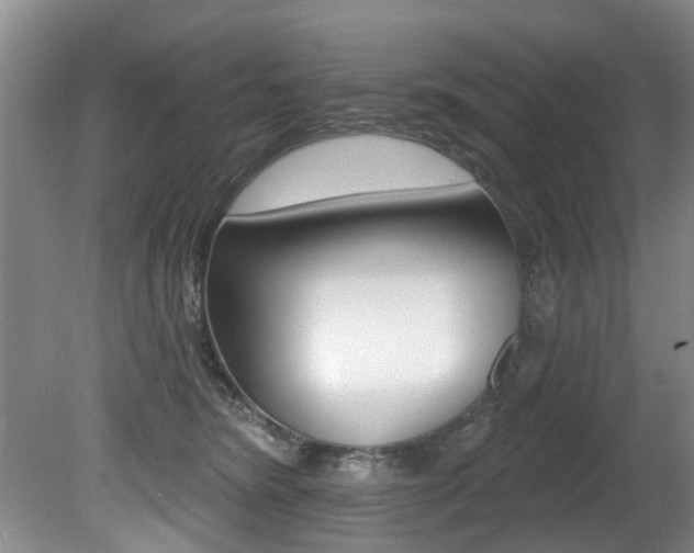 X0000080790420200612151103