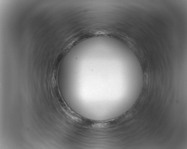 X0000080790422200612151103