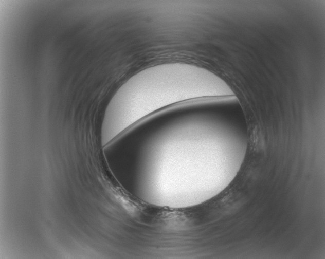 X0000080790424200612151103