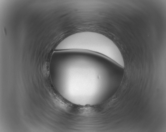 X0000080790428200612151103