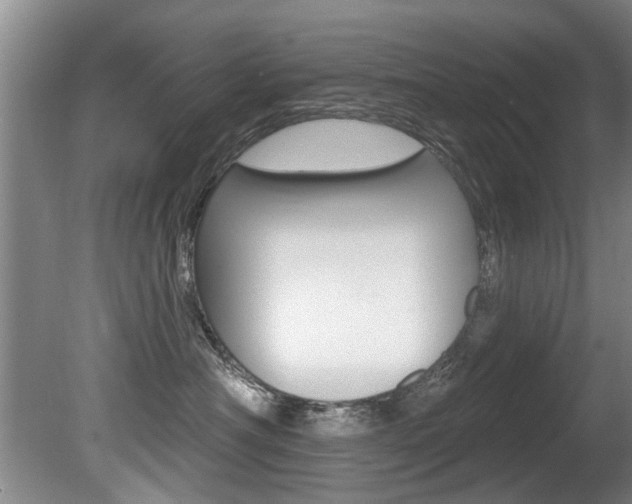 X0000080790430200612151103