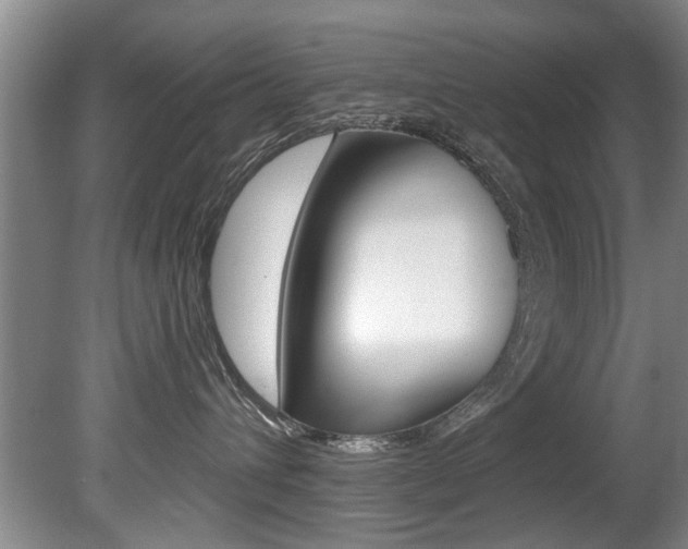 X0000080790432200612151103