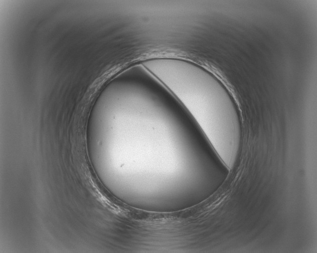 X0000080790433200612151102