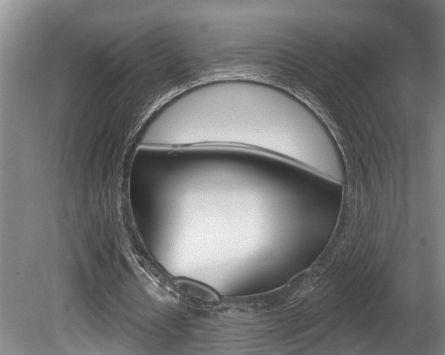 X0000080790434200612151102