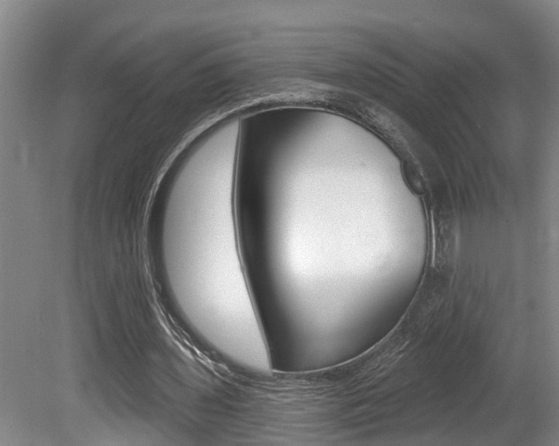 X0000080790435200612151102