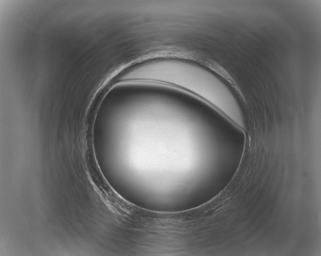 X0000080790436200612151102