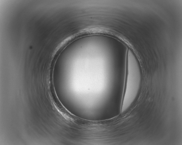 X0000080790438200612151102