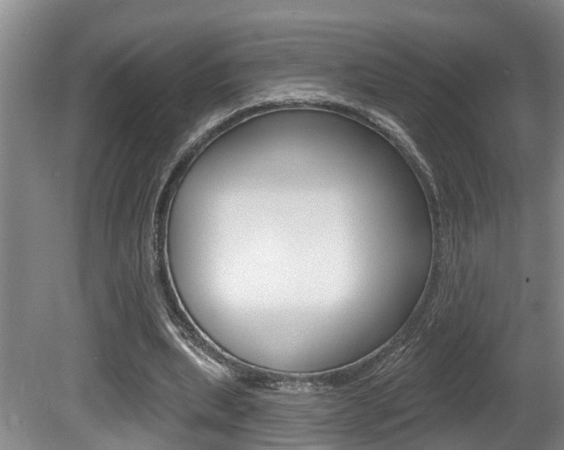 X0000080790439200612151102