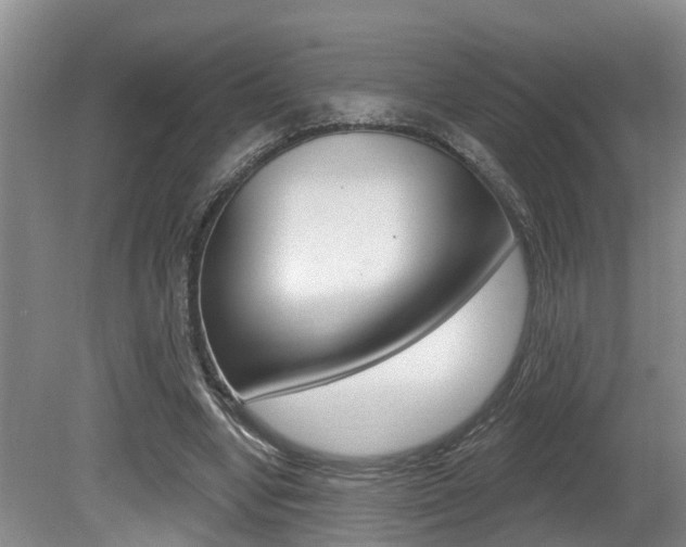 X0000080790442200612151102