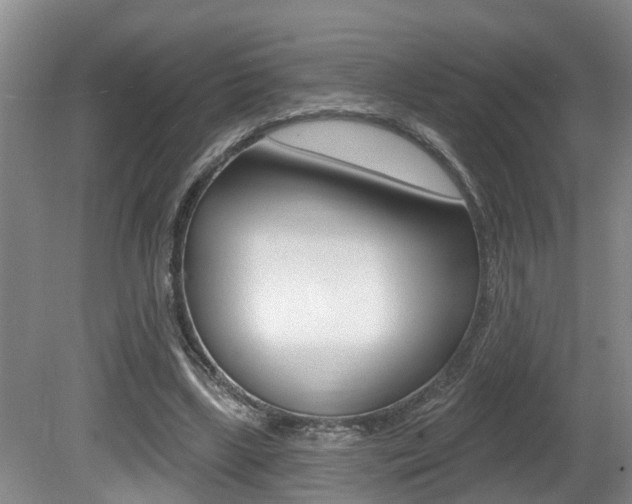X0000080790443200612151102