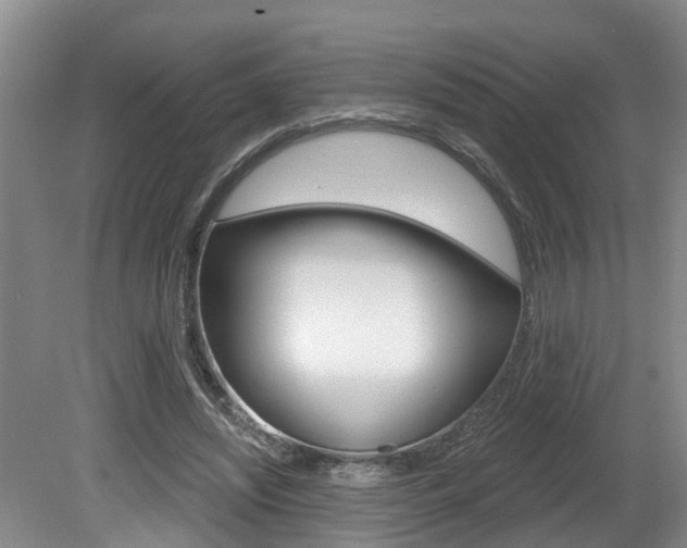 X0000080790444200612151102