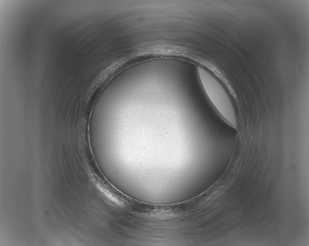 X0000080790445200612151102