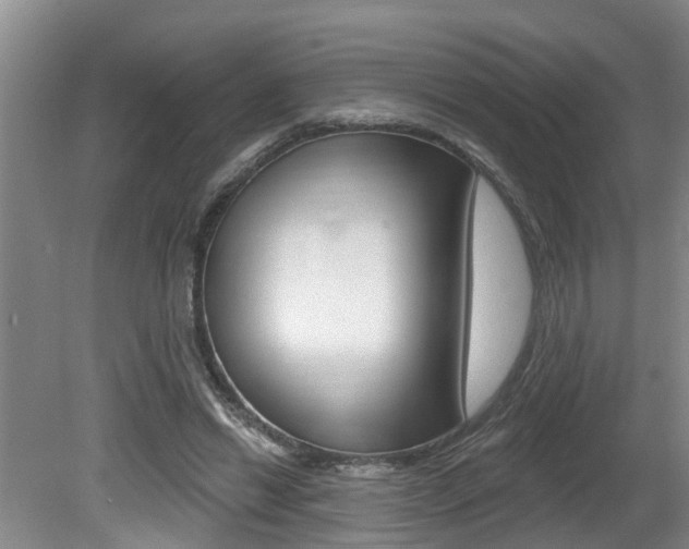 X0000080790446200612151102