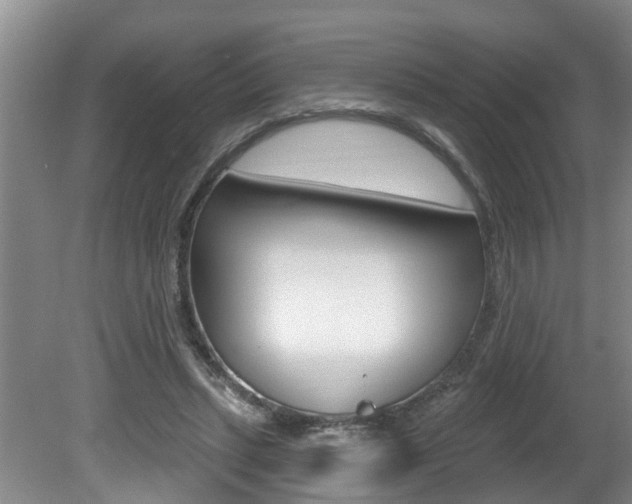 X0000080790447200612151102