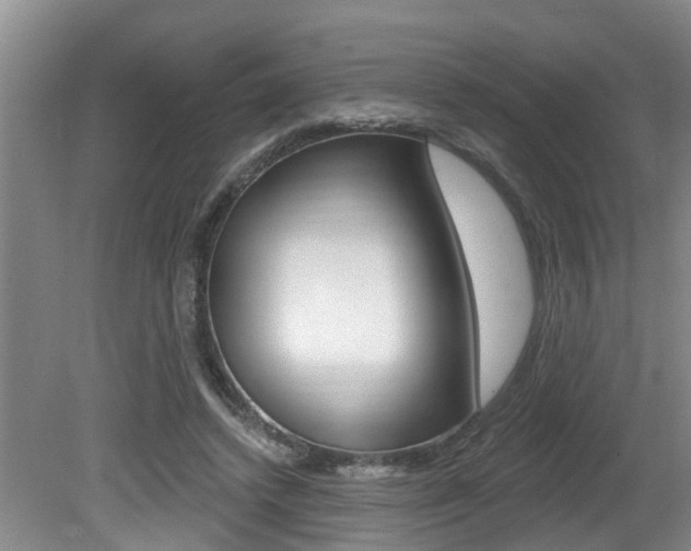 X0000080790448200612151102