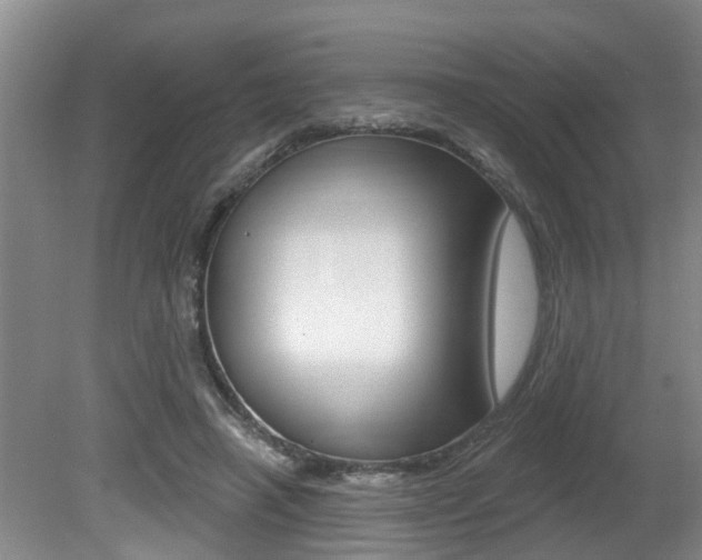 X0000080790450200612151102