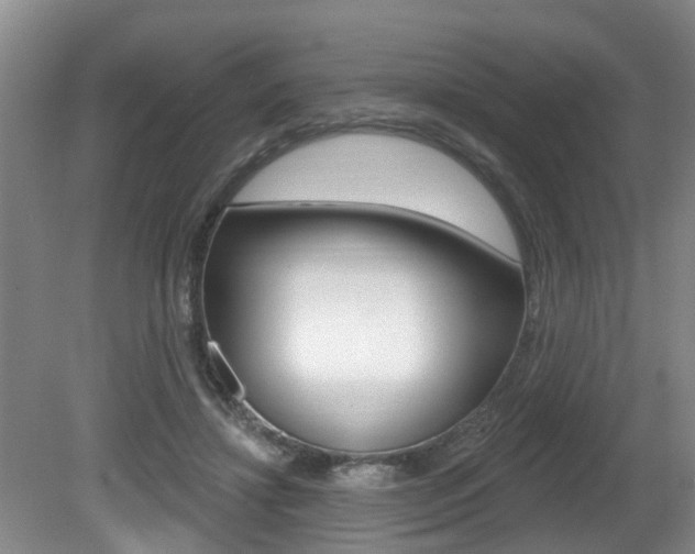 X0000080790452200612151102
