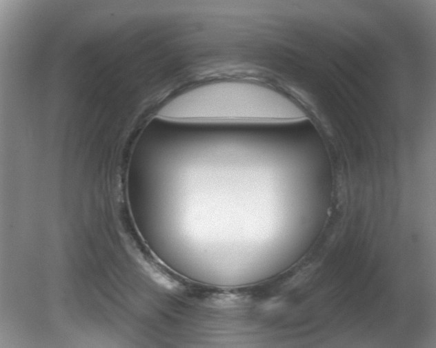 X0000080790453200612151102