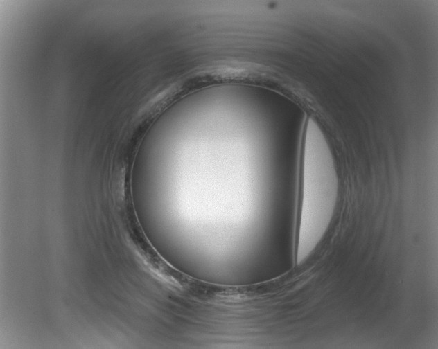 X0000080790454200612151102