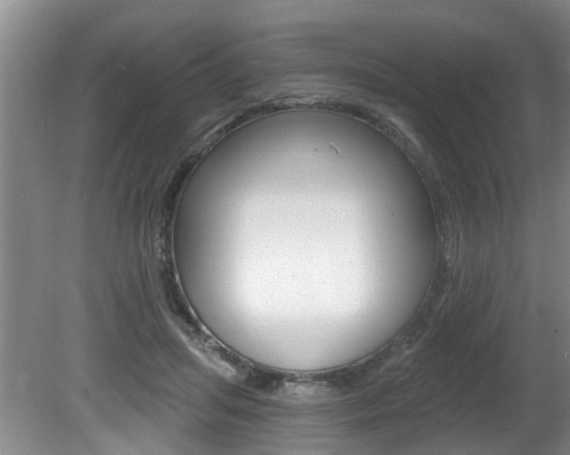 X0000080790455200612151102