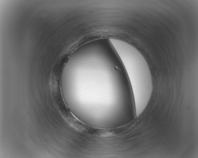 X0000080790456200612151102