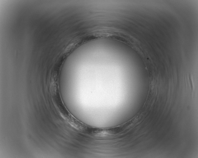 X0000080790460200612151102