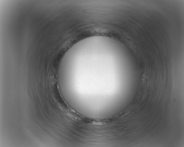 X0000080790464200612151102