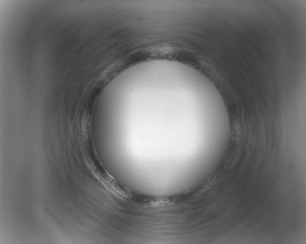 X0000080790468200612151102
