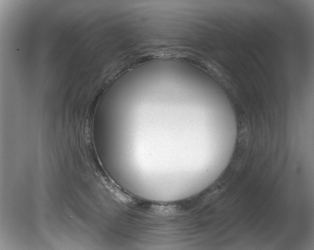 X0000080790469200612151102