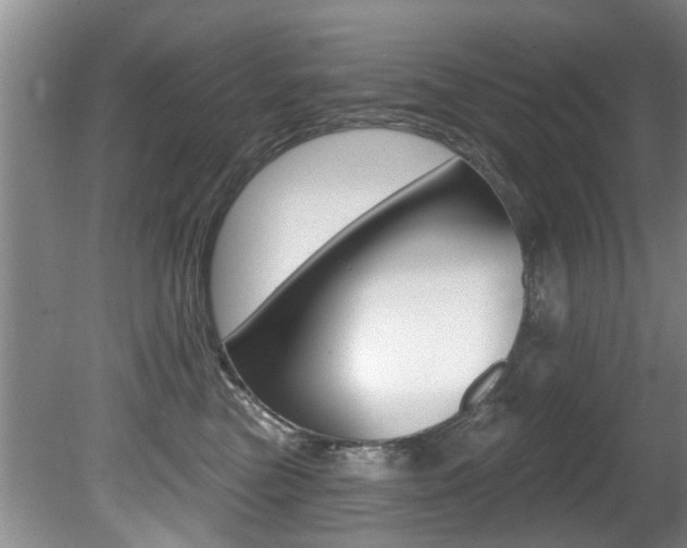 X0000080790473200612151102
