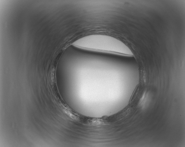 X0000080790475200612151102