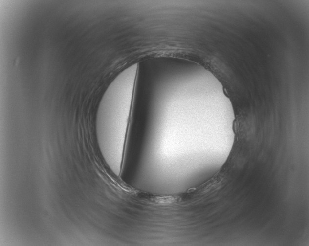 X0000080790479200612151103