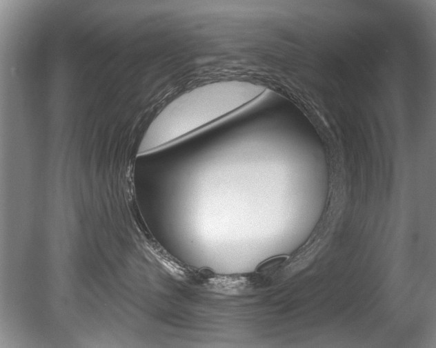 X0000080790480200612151103