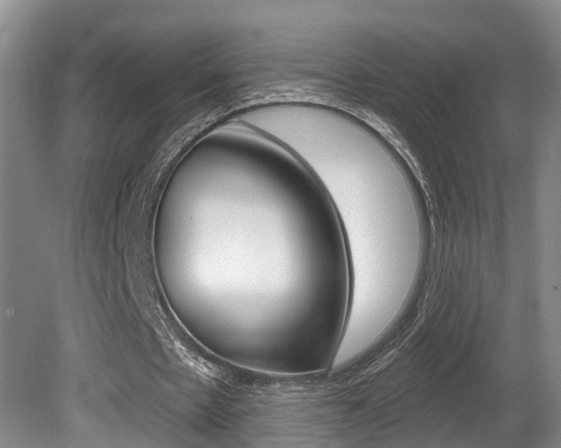 X0000080790481200612151102