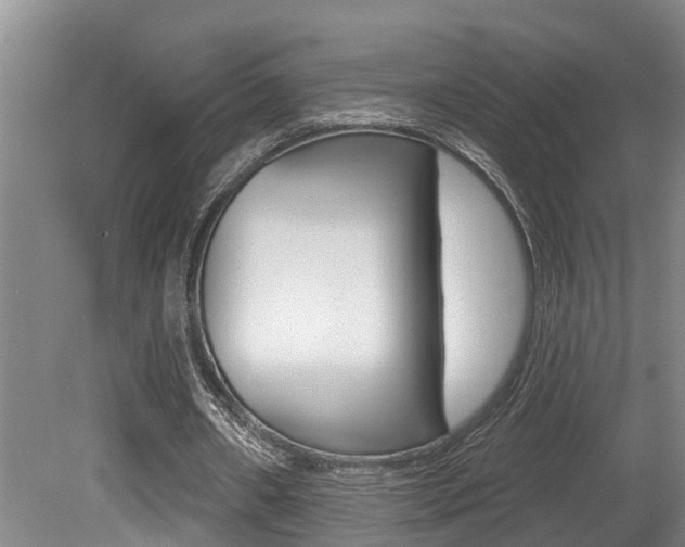 X0000080790482200612151102