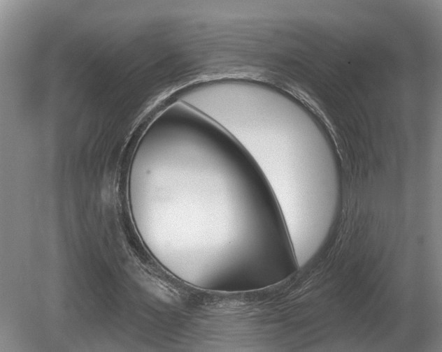 X0000080790483200612151102