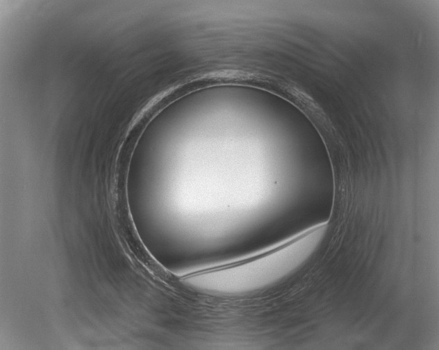 X0000080790484200612151102