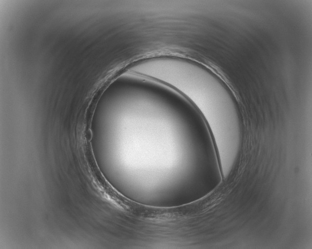 X0000080790485200612151102