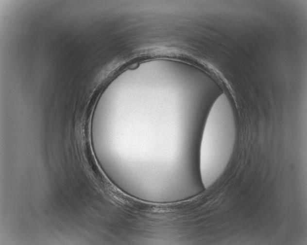 X0000080790487200612151102