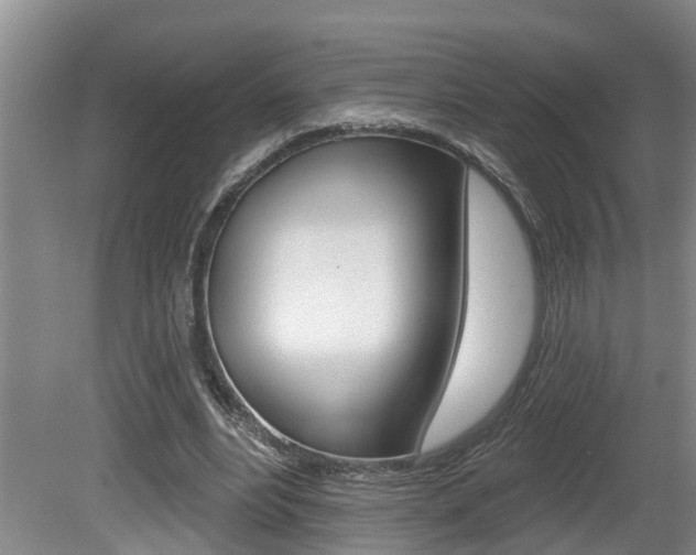 X0000080790488200612151102