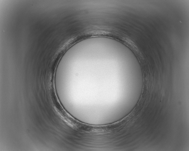 X0000080790490200612151102