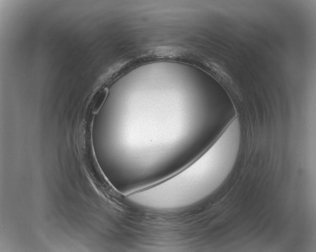 X0000080790492200612151102