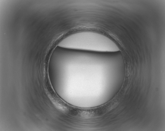 X0000080790494200612151102