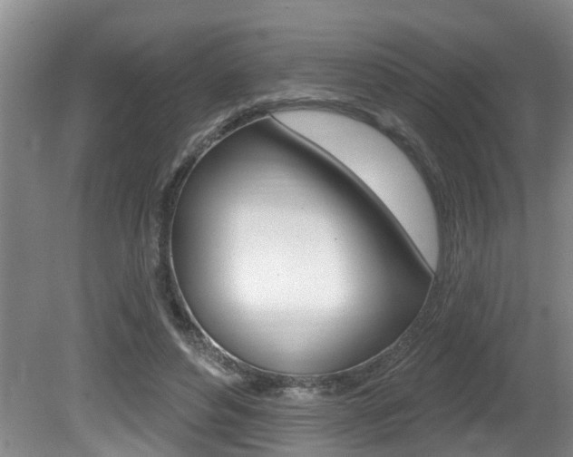X0000080790496200612151101