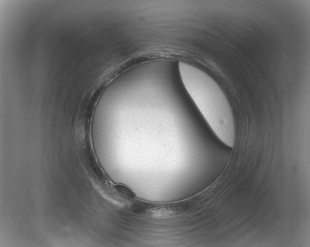 X0000080790500200612151101