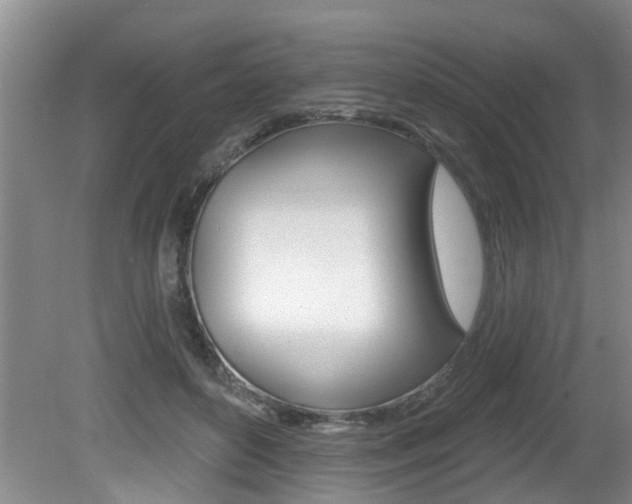 X0000080790504200612151101