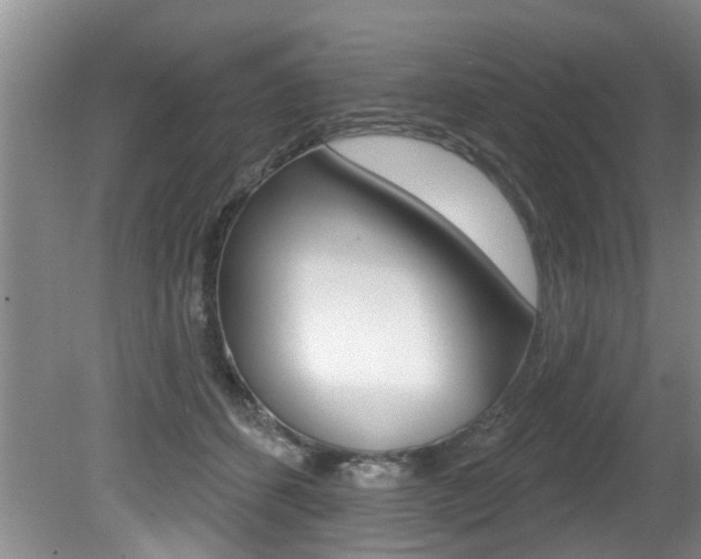 X0000080790512200612151101