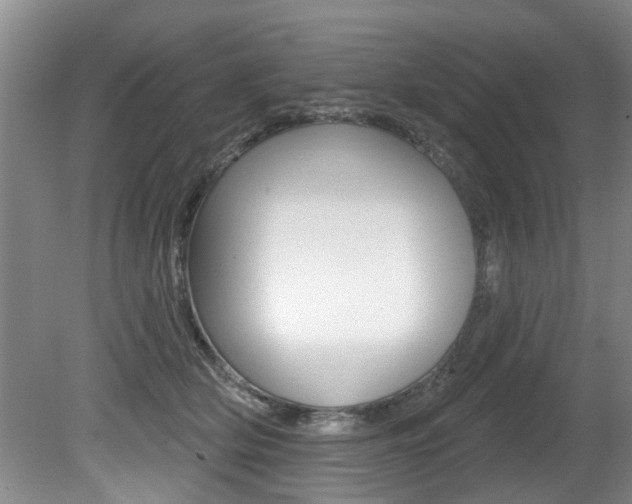 X0000080790514200612151101